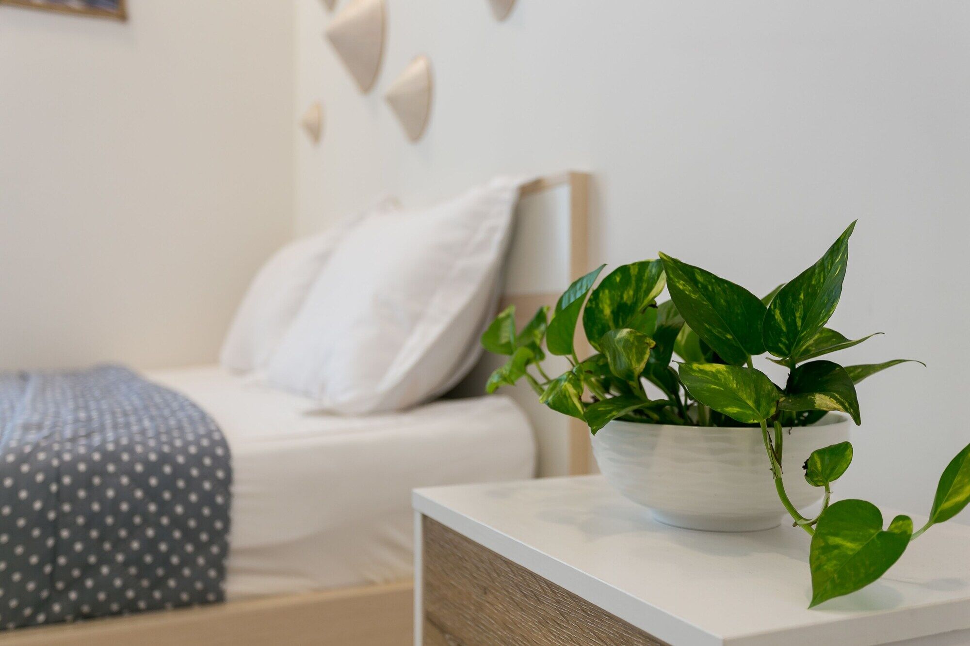 Macy Studio Apartment Hô Chi Minh-Ville Extérieur photo